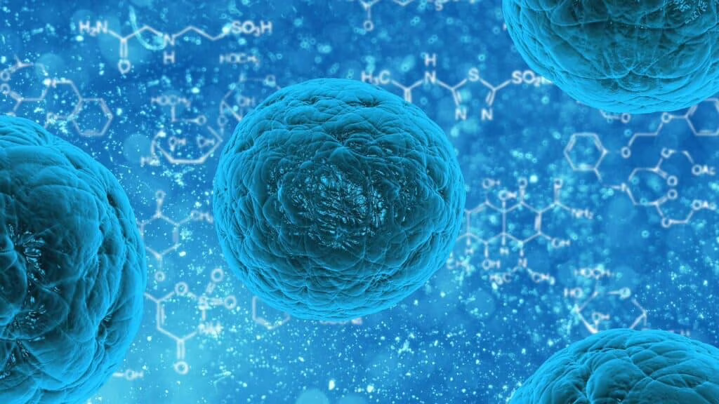 Herpesvirus