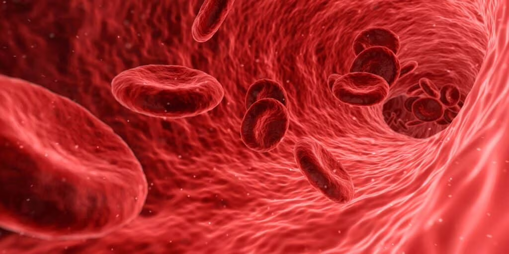 Sangue e trasfusioni Emoglobina artificiale 