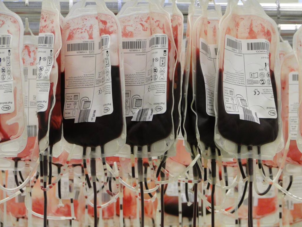 Sacche di sangue Emoglobina artificiale 