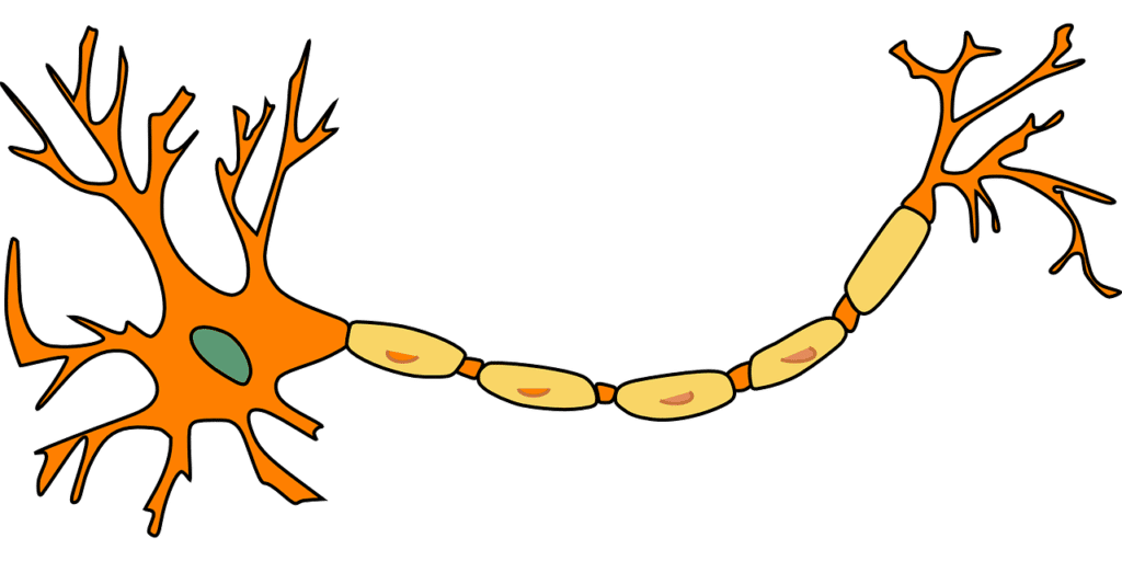 Alzheimer