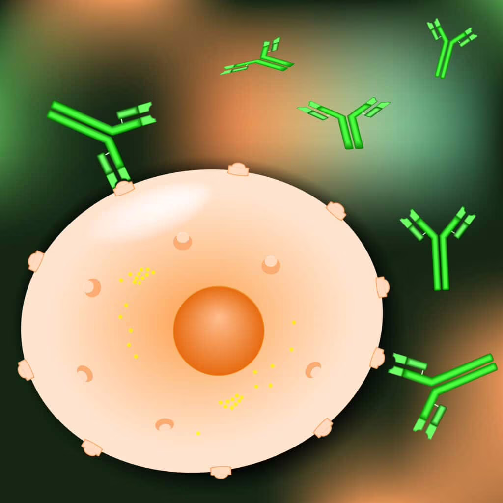 risposta immunitaria