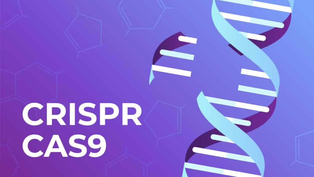 CRIPRS-Cas9 per bambini geneticamente modificati