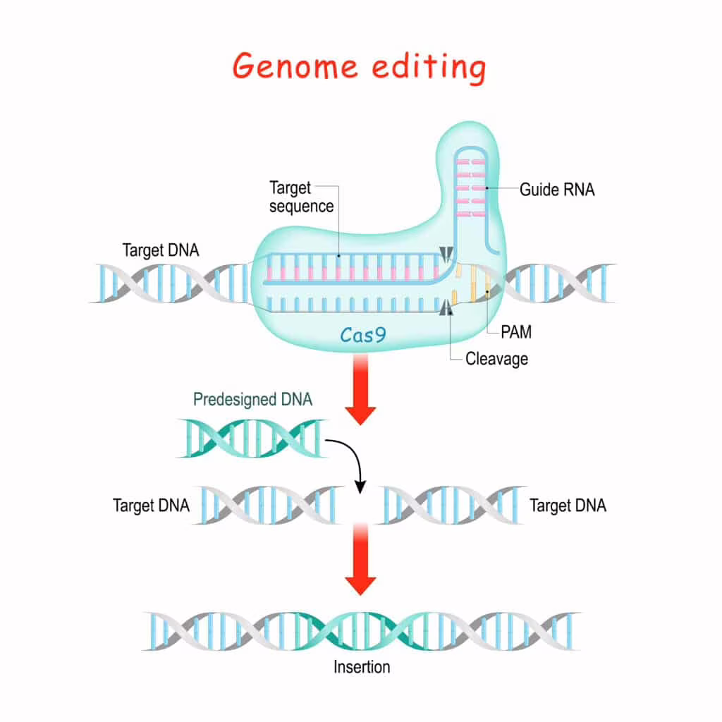 CRISPR-Cas9