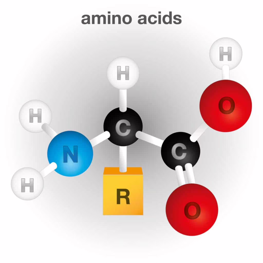 amminoacido
