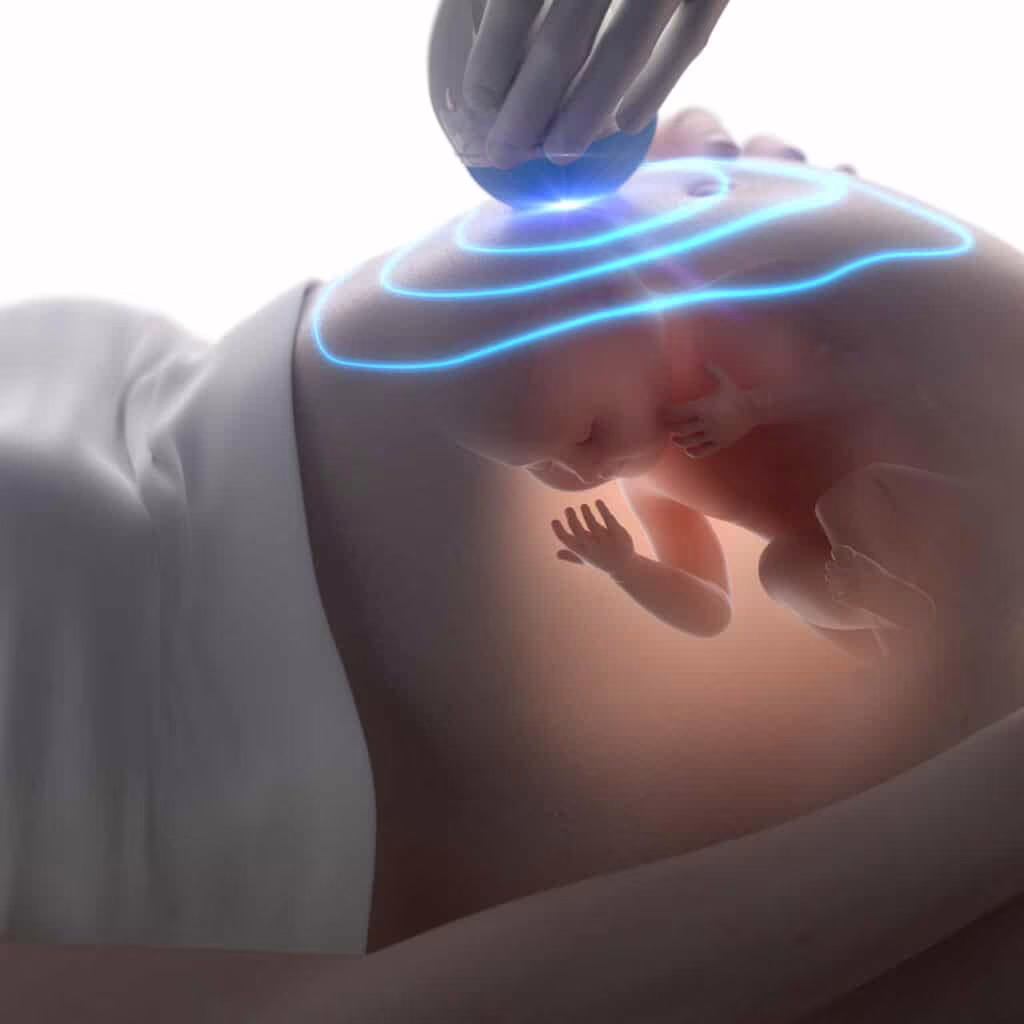 ologramma 3d embrionale