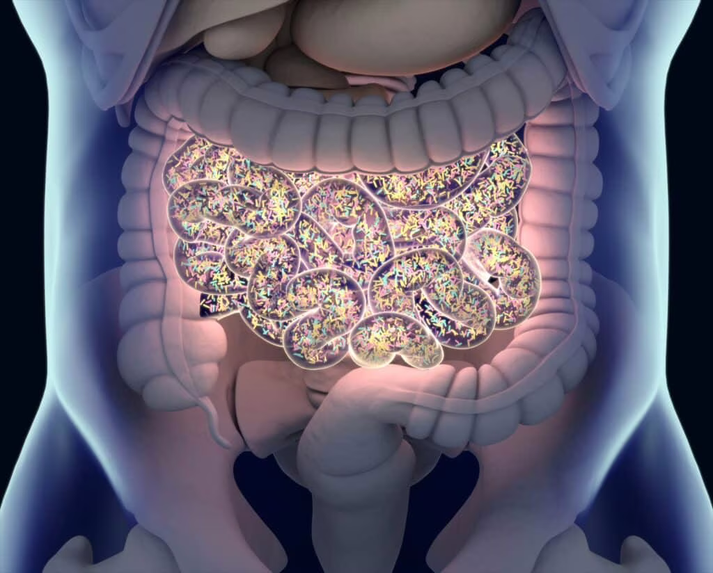 postbiotici