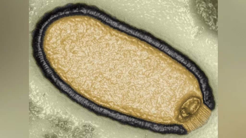 virus zombie