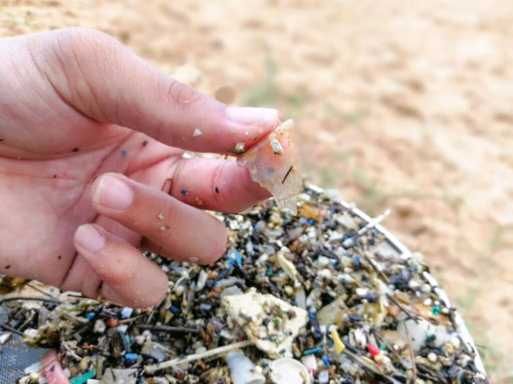 microplastiche nel cuore