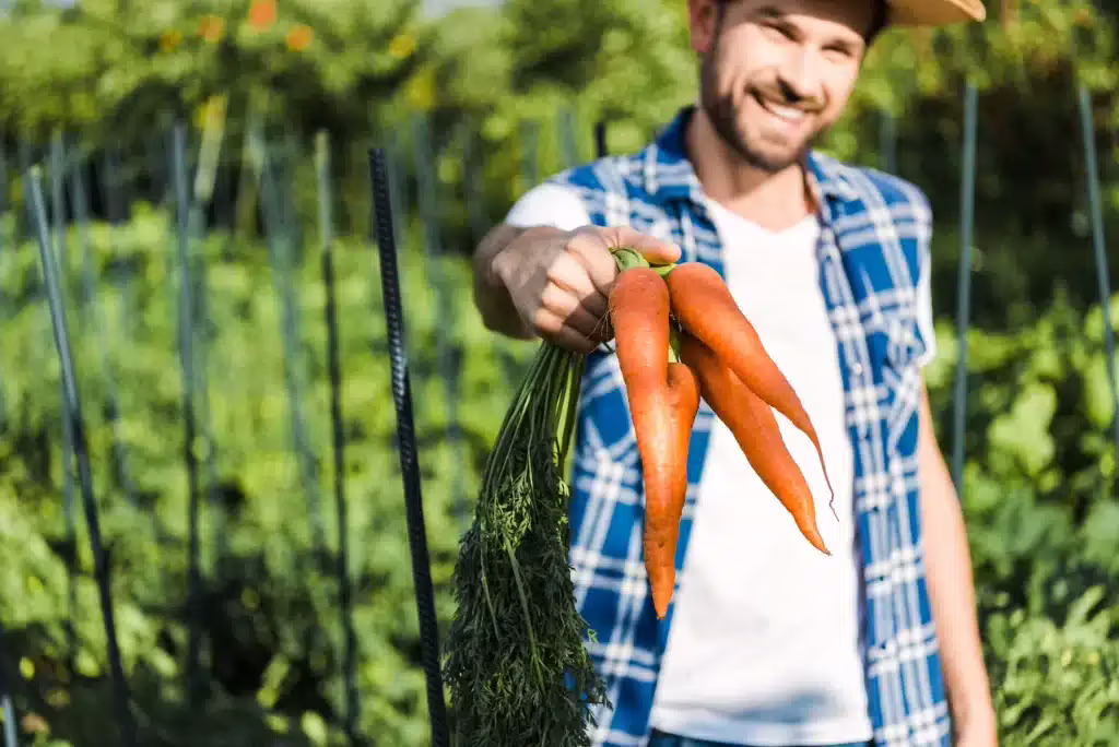 È vero che mangiare carote migliora la vista?