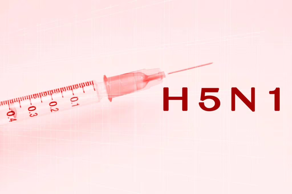 influenza aviaria texas