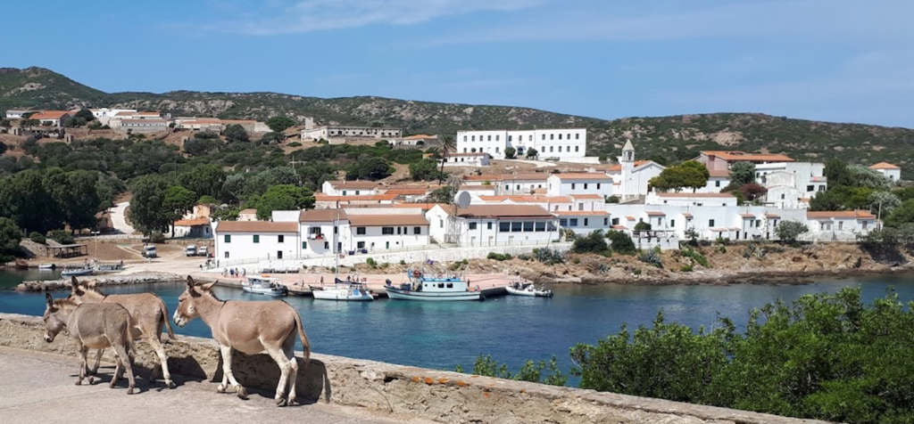 Sardegna, ex carcere Asinara diventa albergo diffuso