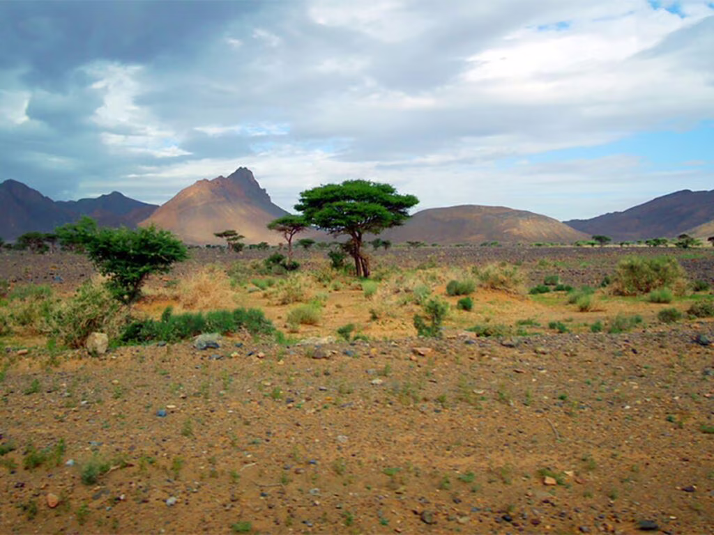 Una muraglia verde per l’Africa, The Great Green Wall