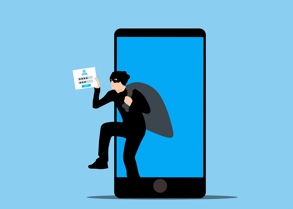 Hacking, Il Furto Di Dati, Frode Online SIAE
