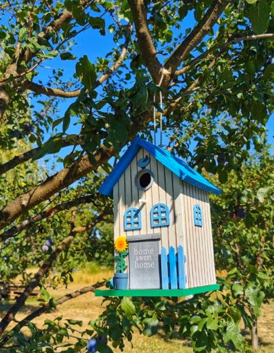 Svijetla kućica za ptice s plavim krovom i ukrasima, visi na grani drveća u bujnom vrtu pod plavim nebom.