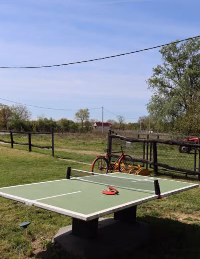 Stol za stolni tenis s reketima na travnatoj površini, u blizini crvenog bicikla i drvene ograde, s plavim nebom u pozadini.