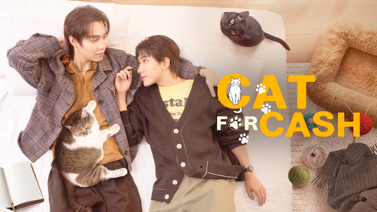 Cat for Cash