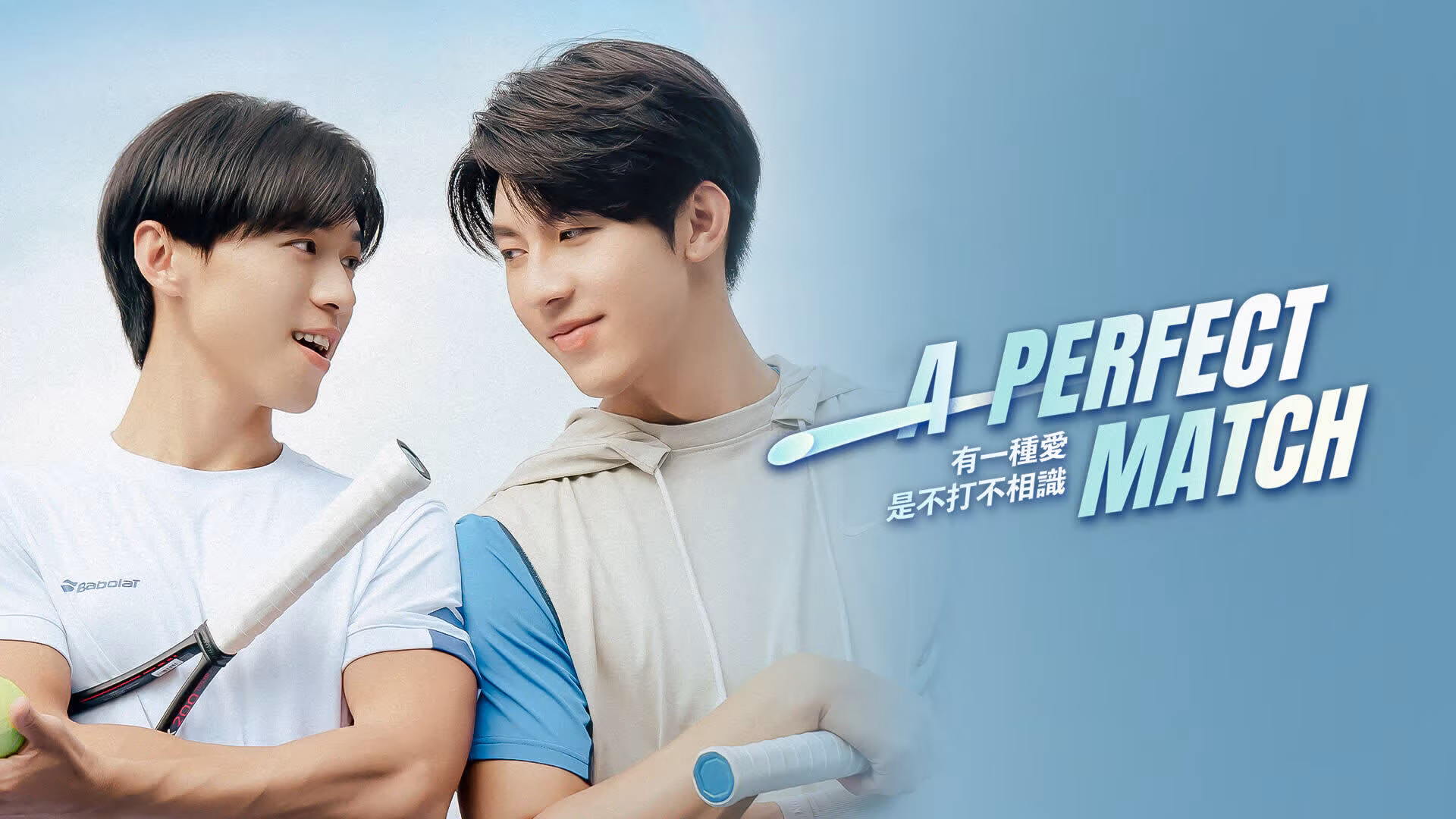 A Perfect Match (BL)