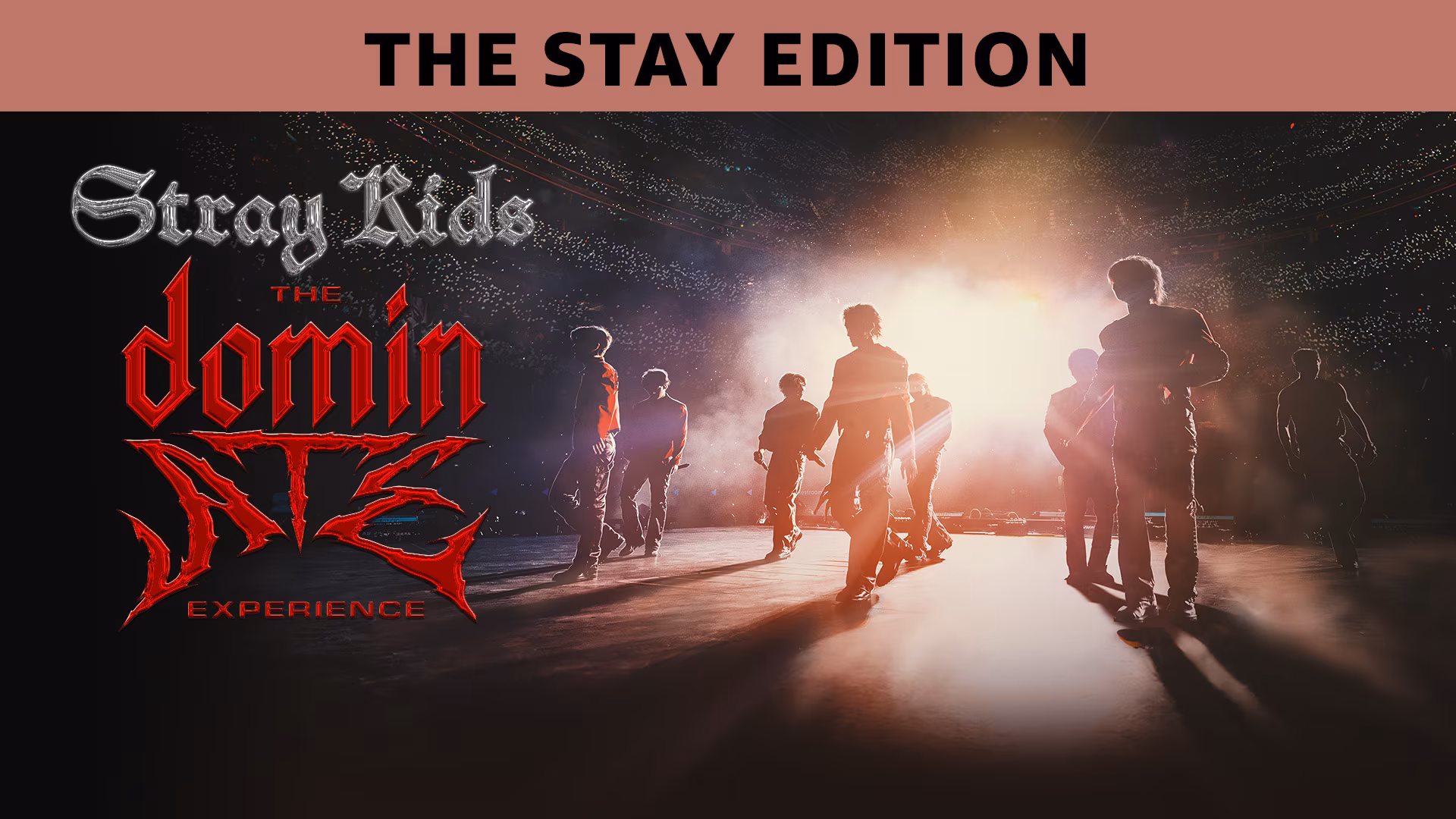 Stray Kids: The dominATE Experience