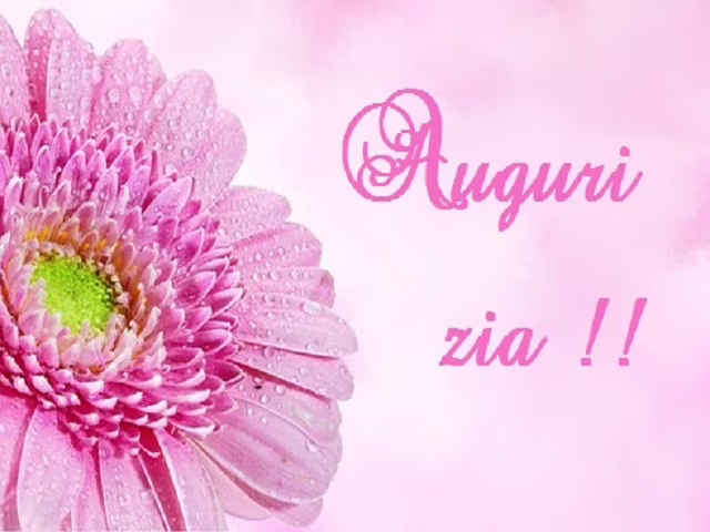 frasi belle sulle zie