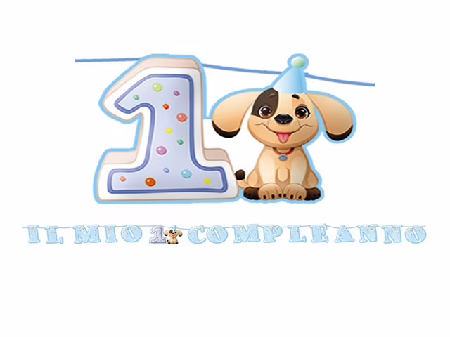Primo compleanno bimbo