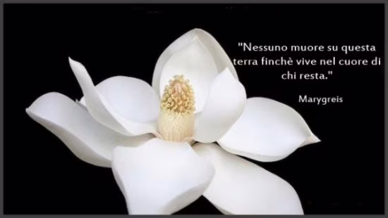 frase defunto