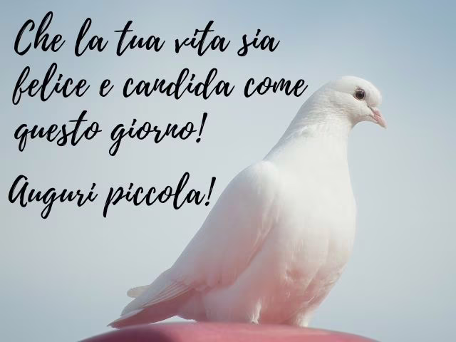immagini comunione