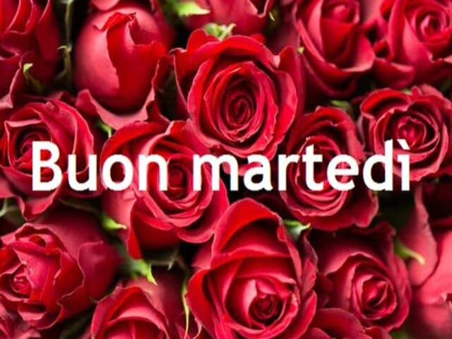 Buon Martedì con fiori 3