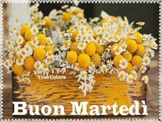 Buon martedì con fiori