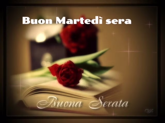 Buon martedì sera 4