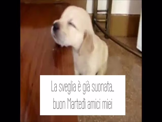 buongiorno affettuoso 10