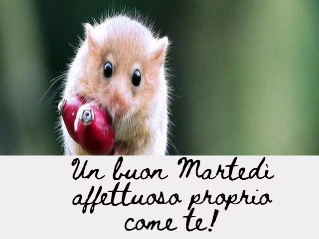 buongiorno affettuoso