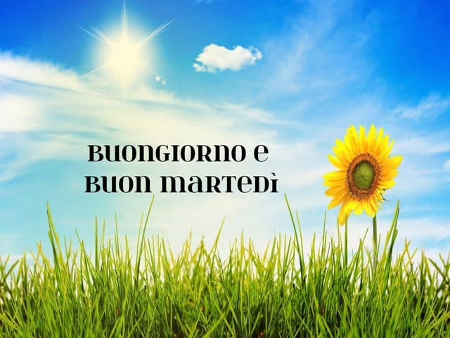 Buongiorno con il sole 2