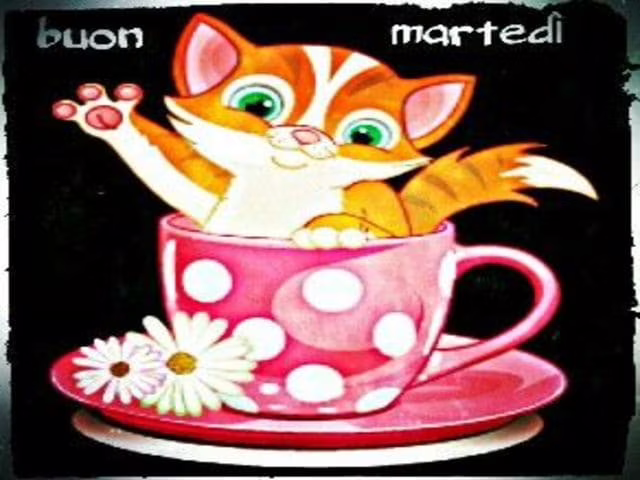foto buon martedì