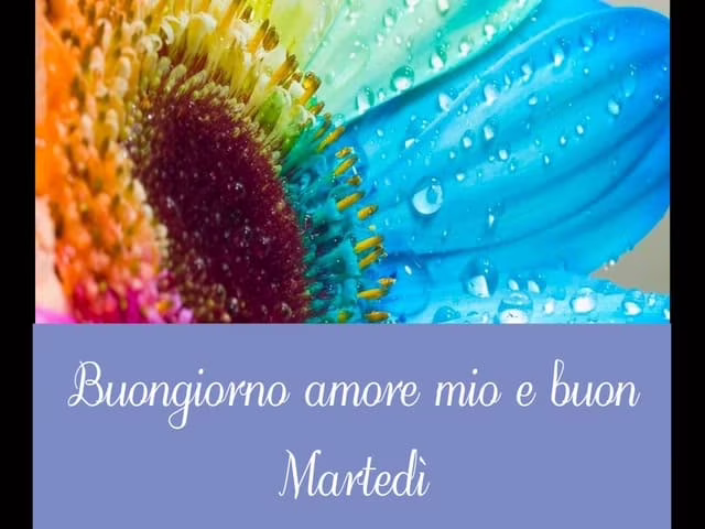 foto buongiorno amore 4