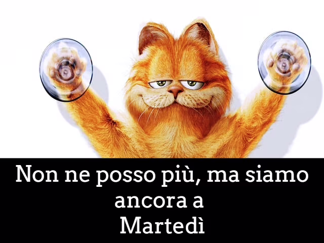 Foto divertenti di buongiorno