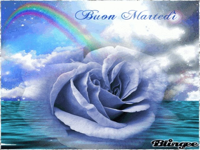 immagini buon martedì gif 4