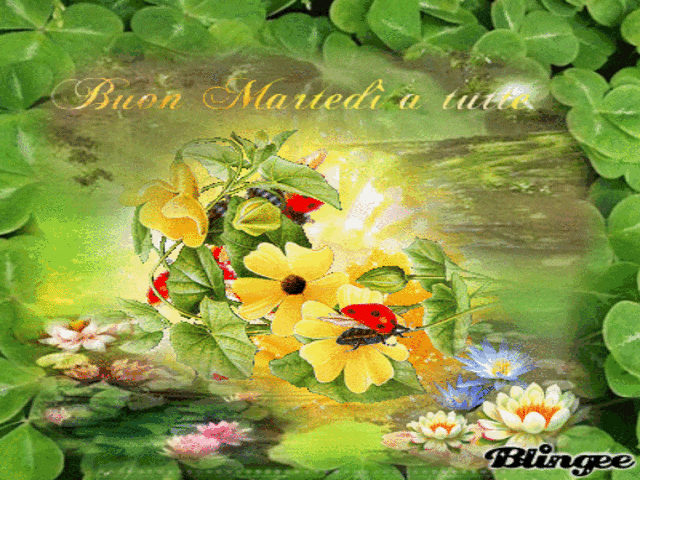 immagini buon martedì gif 5