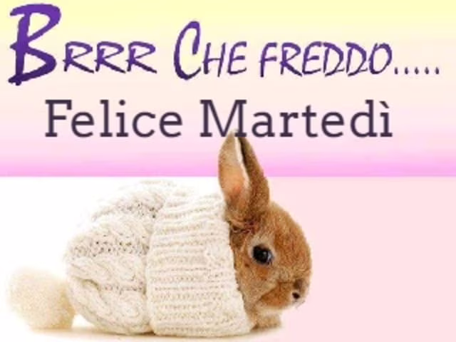 immagini buongiorno freddo 1