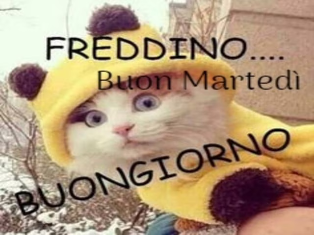 immagini buongiorno freddo 2