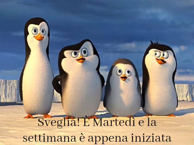 immagini coccolose 3