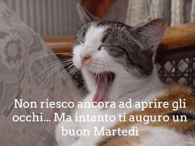 immagini con frasi divertenti 1