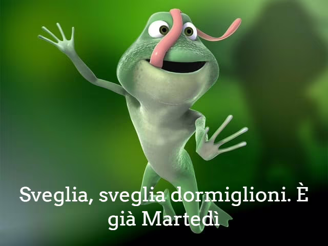 immagini con frasi divertenti 2