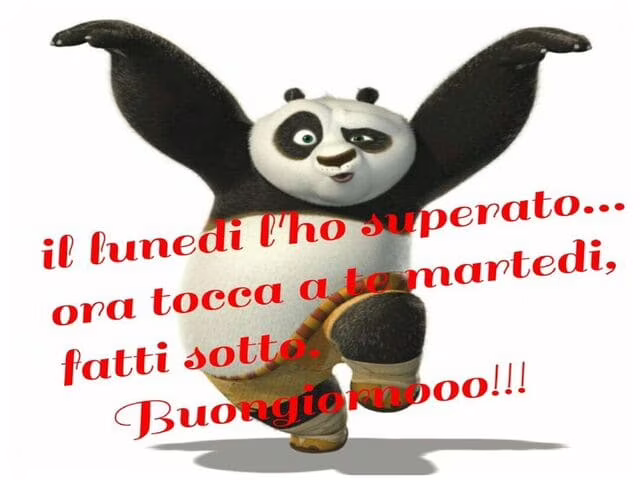 immagini con frasi divertenti