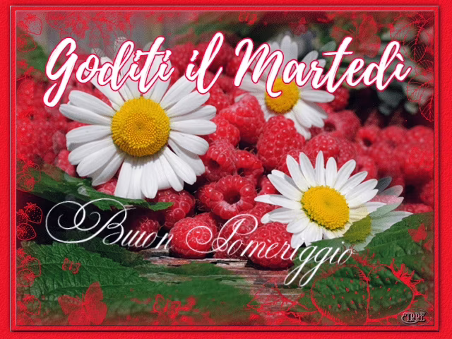 Immagini-del-buon-pomeriggio 2