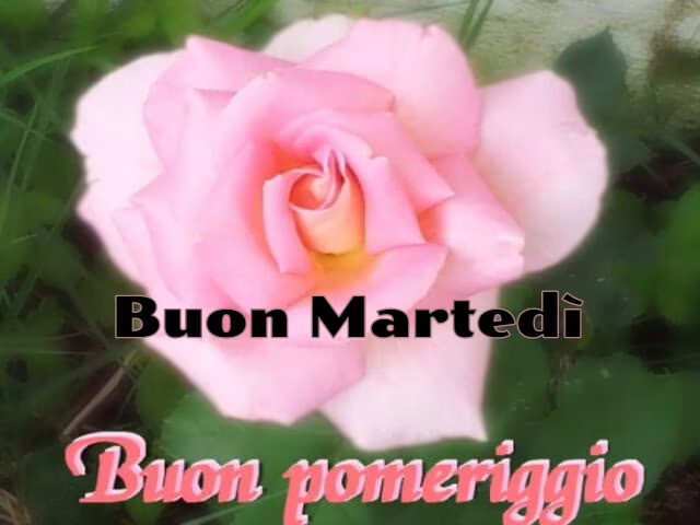 Buon Martedì. Buon pomeriggio.