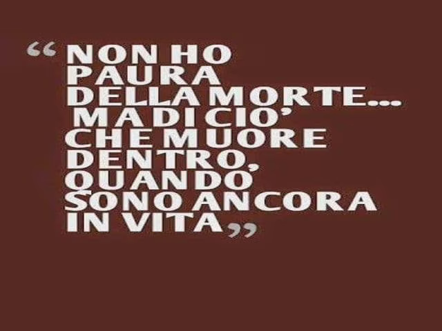 immagini di paura 5