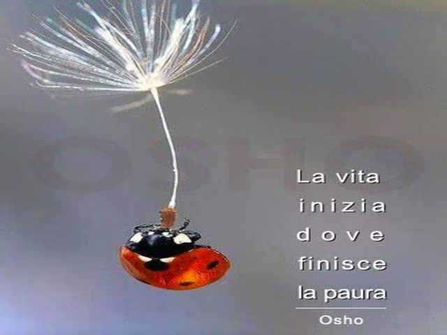 immagini di paura