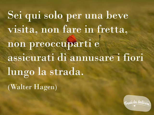 auguri 50 anni compleanno