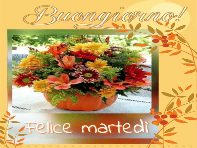 buon martedì a tutti