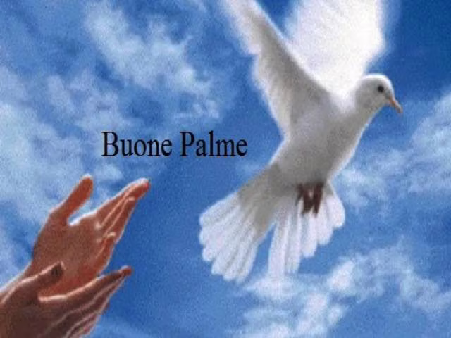 buona domenica delle palme